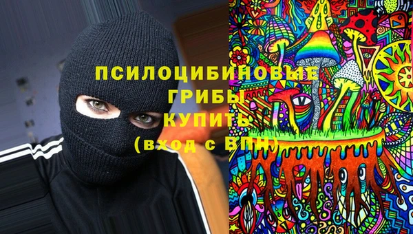 дмт Вяземский